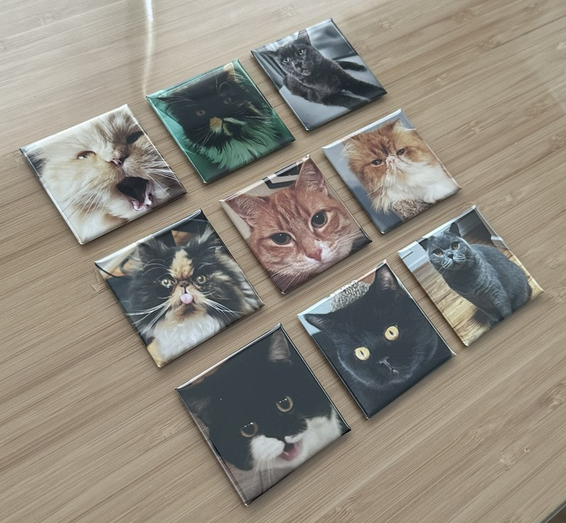 Uplifted Pixels Custom Photo Magnets - Set of 9